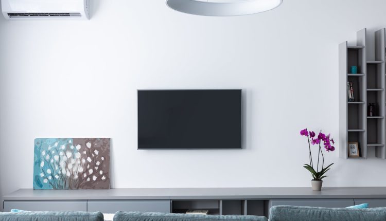 evcil hayvanlar ve evde onlara ozgu bir alan olusturma