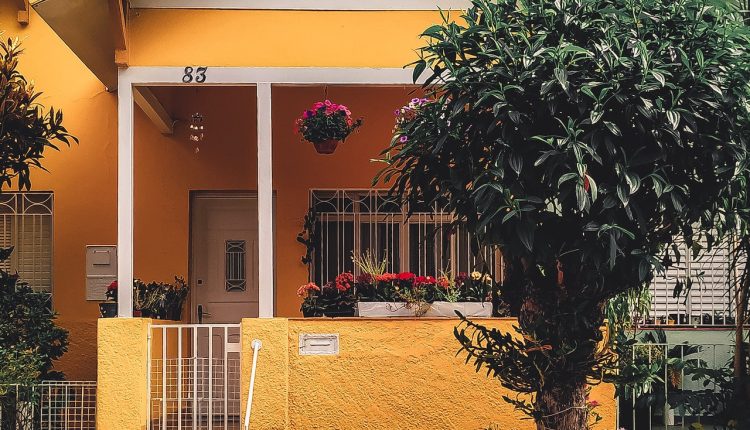 ozyurtlargunlukkiralik2